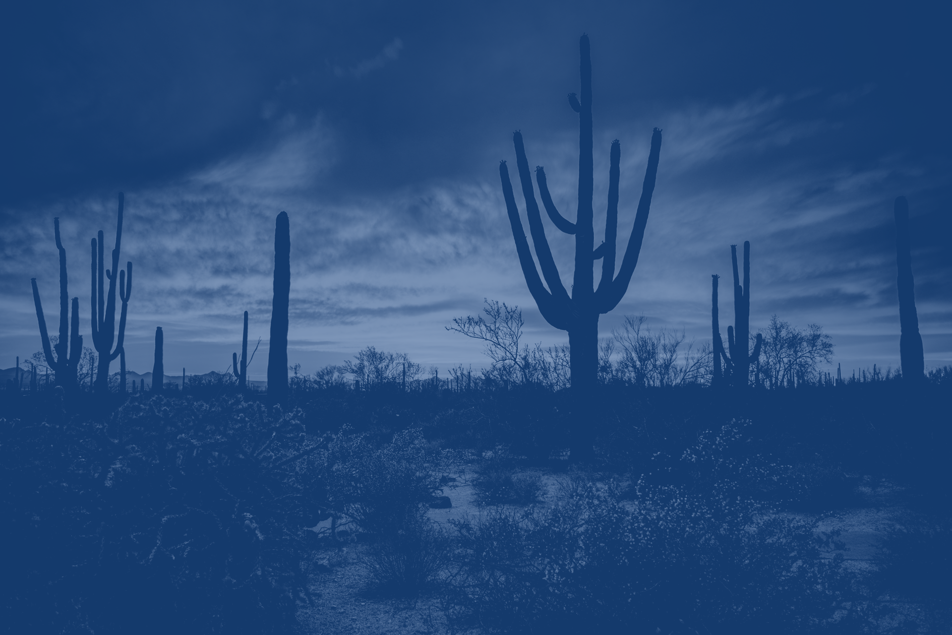 Orthopedic Surgeons In Phoenix, Arizona