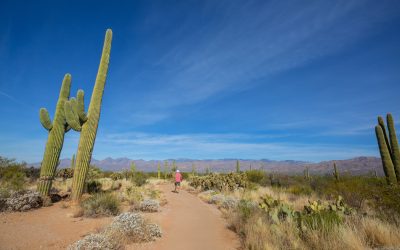 How to Stay Active During Arizona’s Winter: Embracing Low-Impact Movement for Joint Health